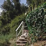 Nativo Natureza Pink Wood * Cela (Leira)