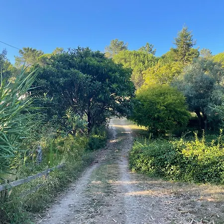 Nativo Natureza Pink Wood