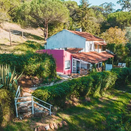 אוהל מפואר Nativo Natureza Pink Wood