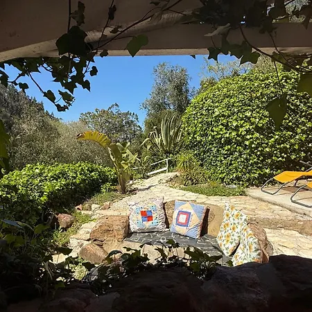 Nativo Natureza Pink Wood Οργανωμένο κάμπινγκ Cela (Leira)