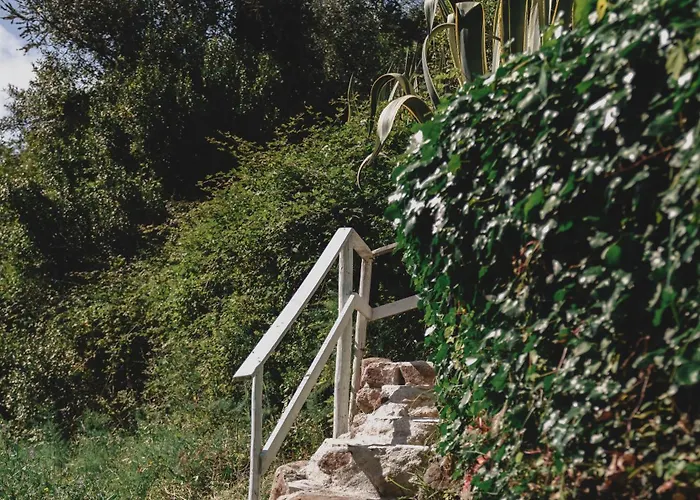 Nativo Natureza Pink Wood * Cela (Leira)